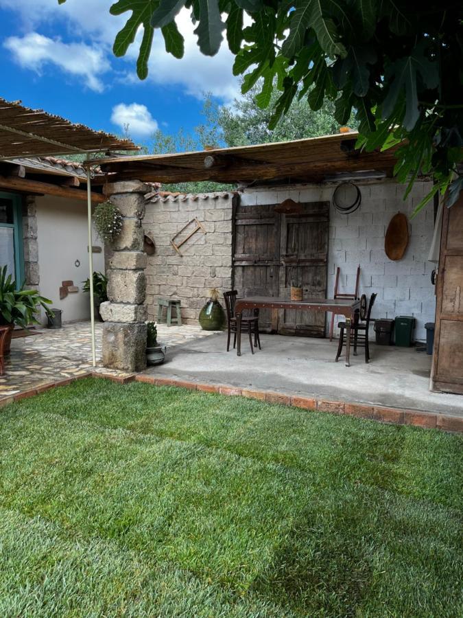 Affittacamere Graziosa Stanza Campidanese Su Terzu Oristano Esterno foto