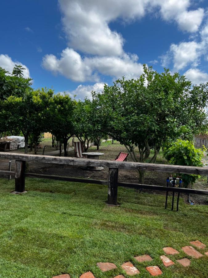 Affittacamere Graziosa Stanza Campidanese Su Terzu Oristano Esterno foto