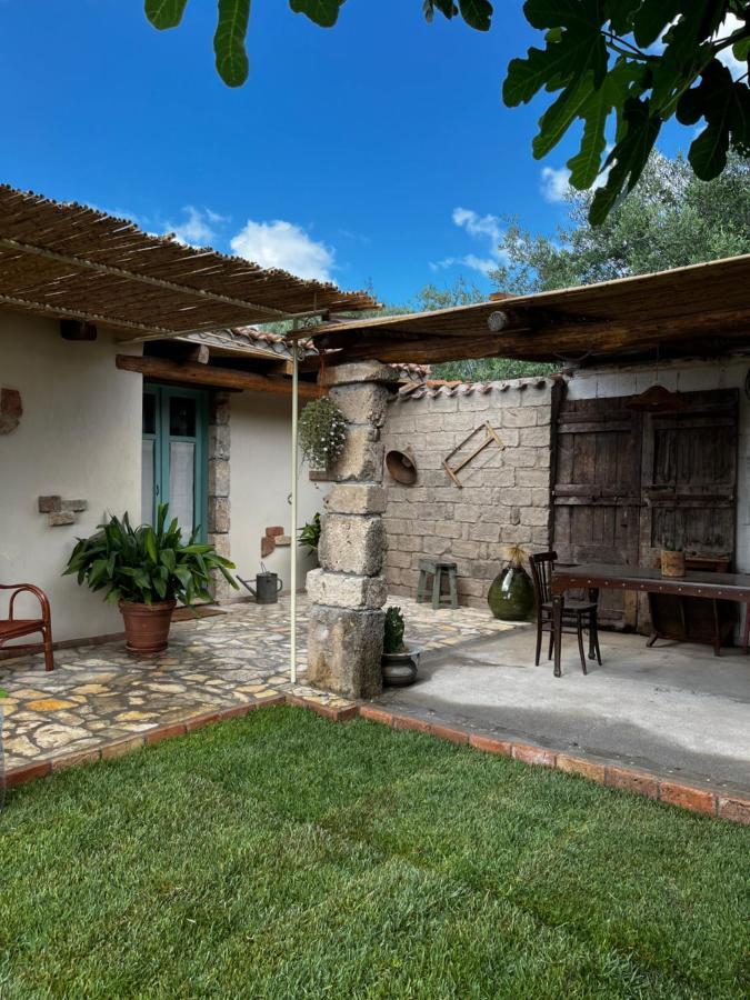 Affittacamere Graziosa Stanza Campidanese Su Terzu Oristano Esterno foto